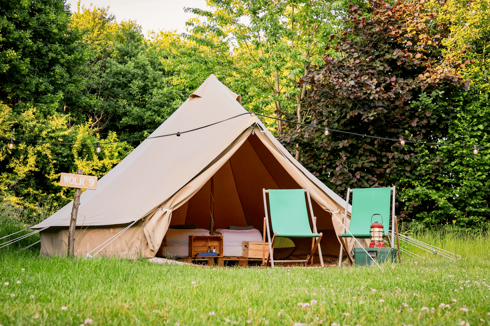 TIPI-1